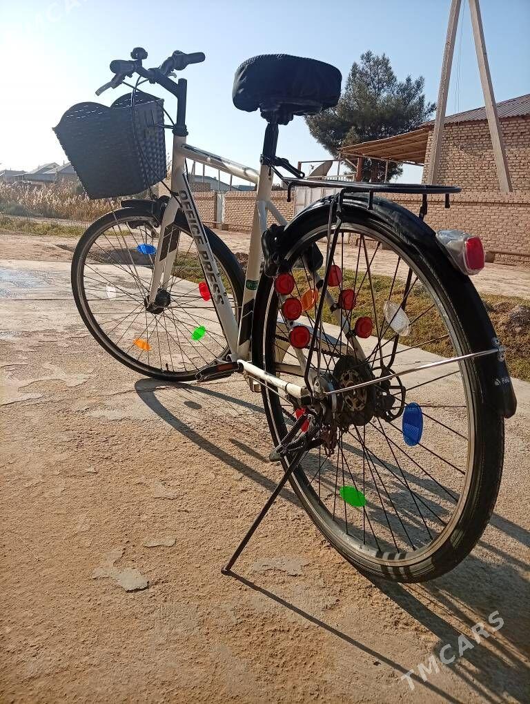 welsopet - Mary - img 7