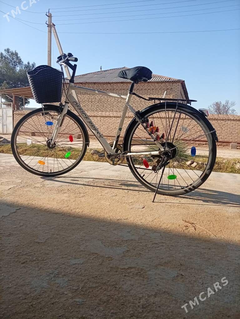 welsopet - Mary - img 4