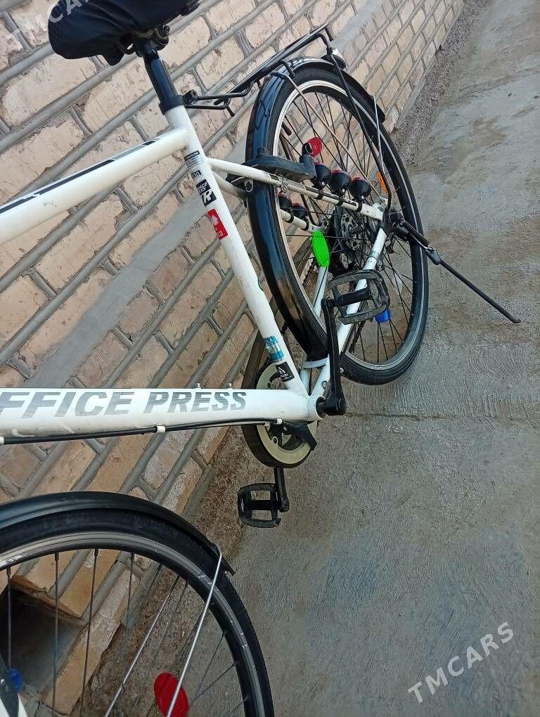 welsopet - Mary - img 8