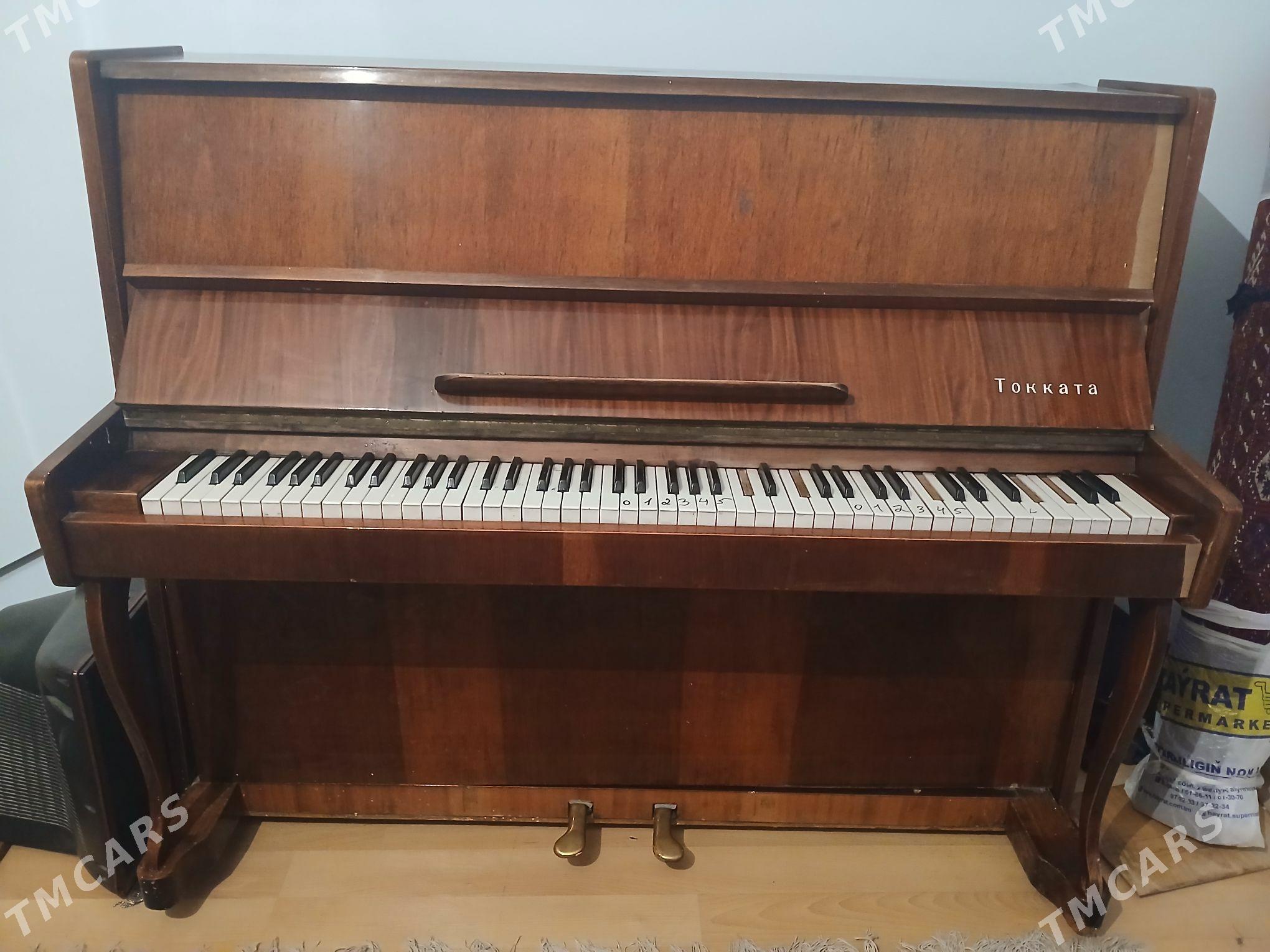 pianino - Ялкым - img 3