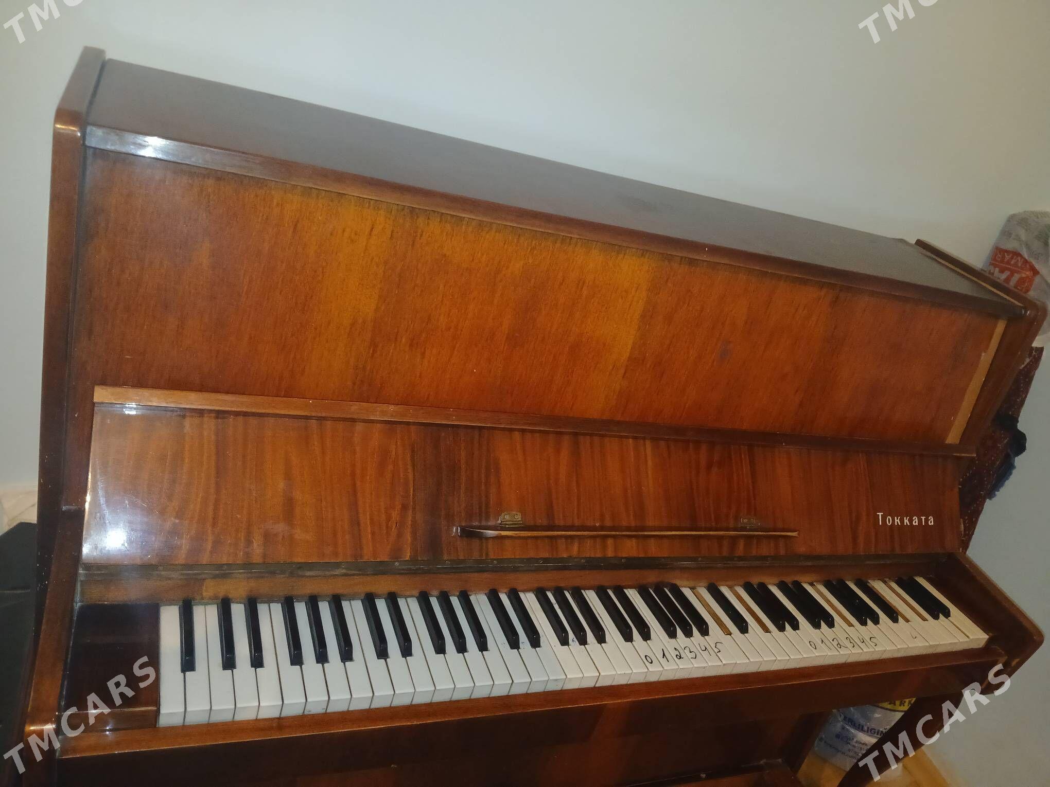 pianino - Ялкым - img 2