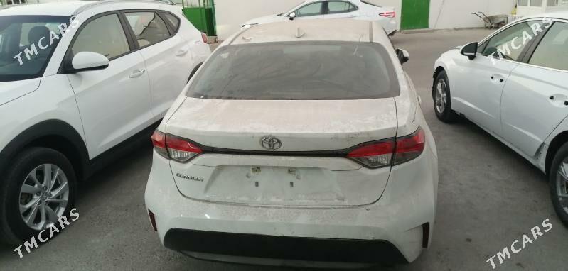 Toyota Corolla 2023 - 220 000 TMT - Bedew - img 2
