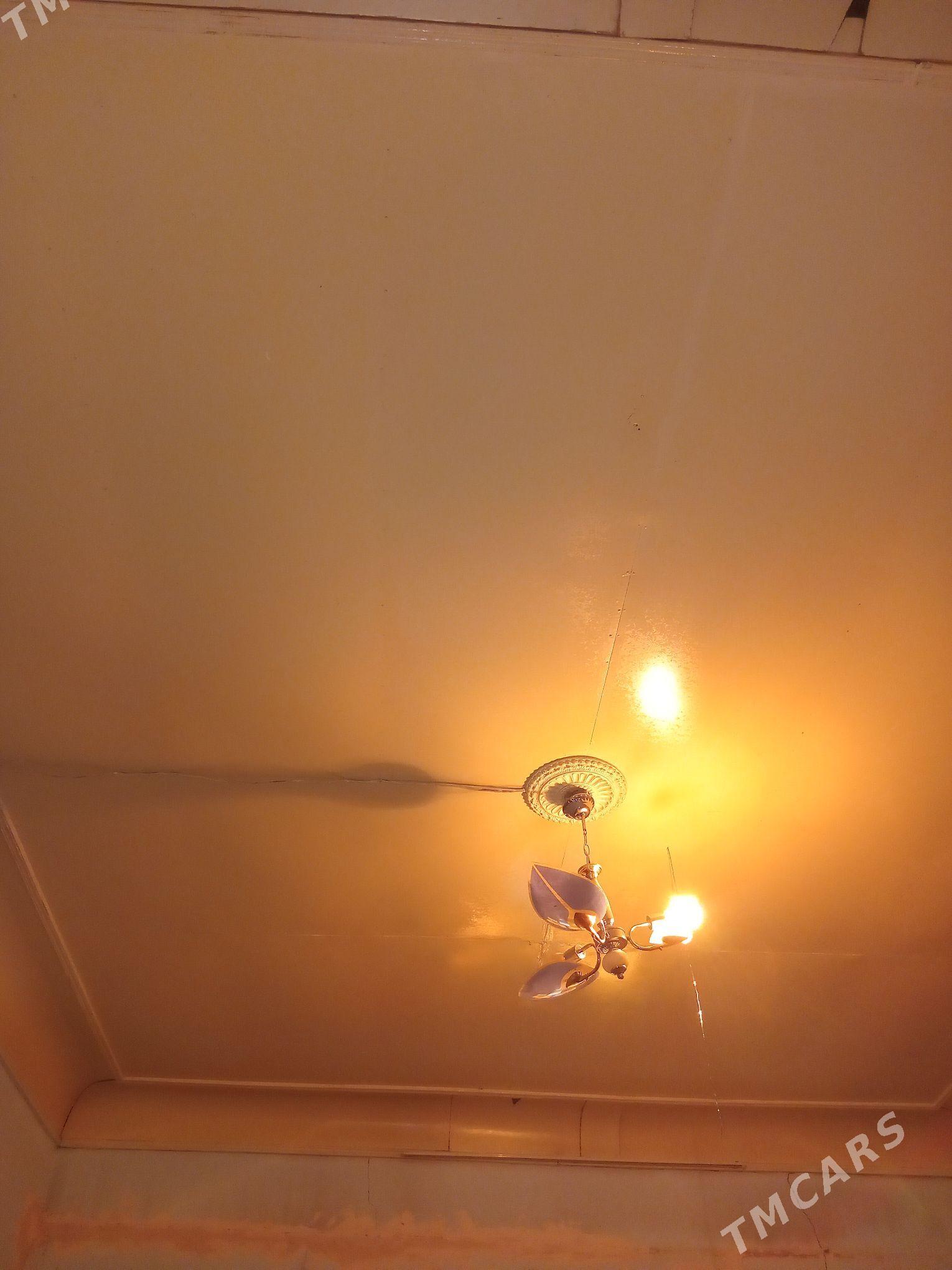 Faner - Гурбансолтан Едже - img 1