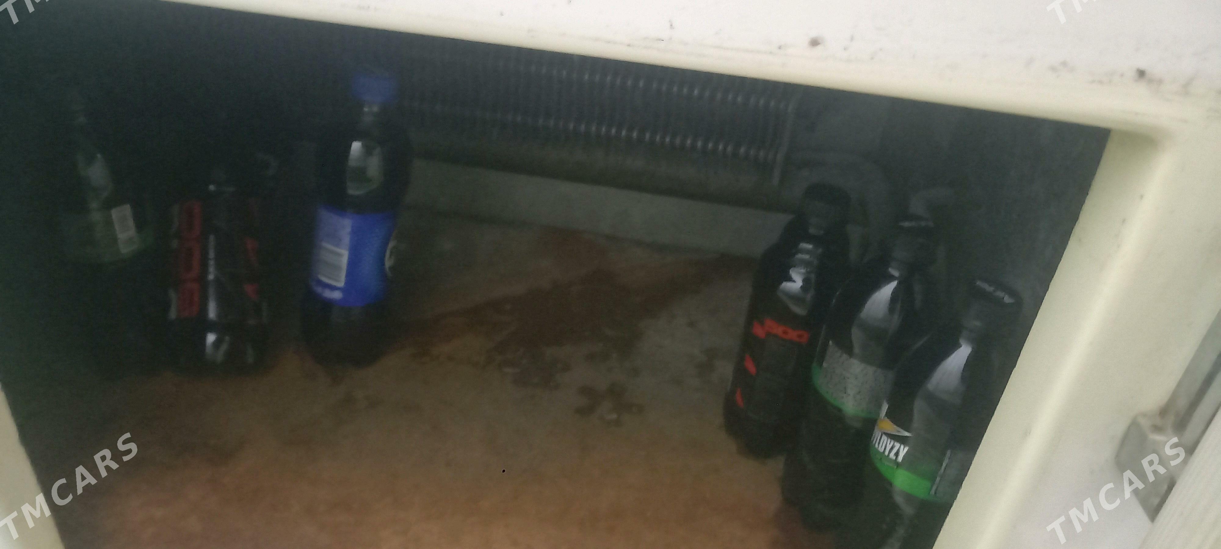 holadilnik - Sakarçäge - img 6