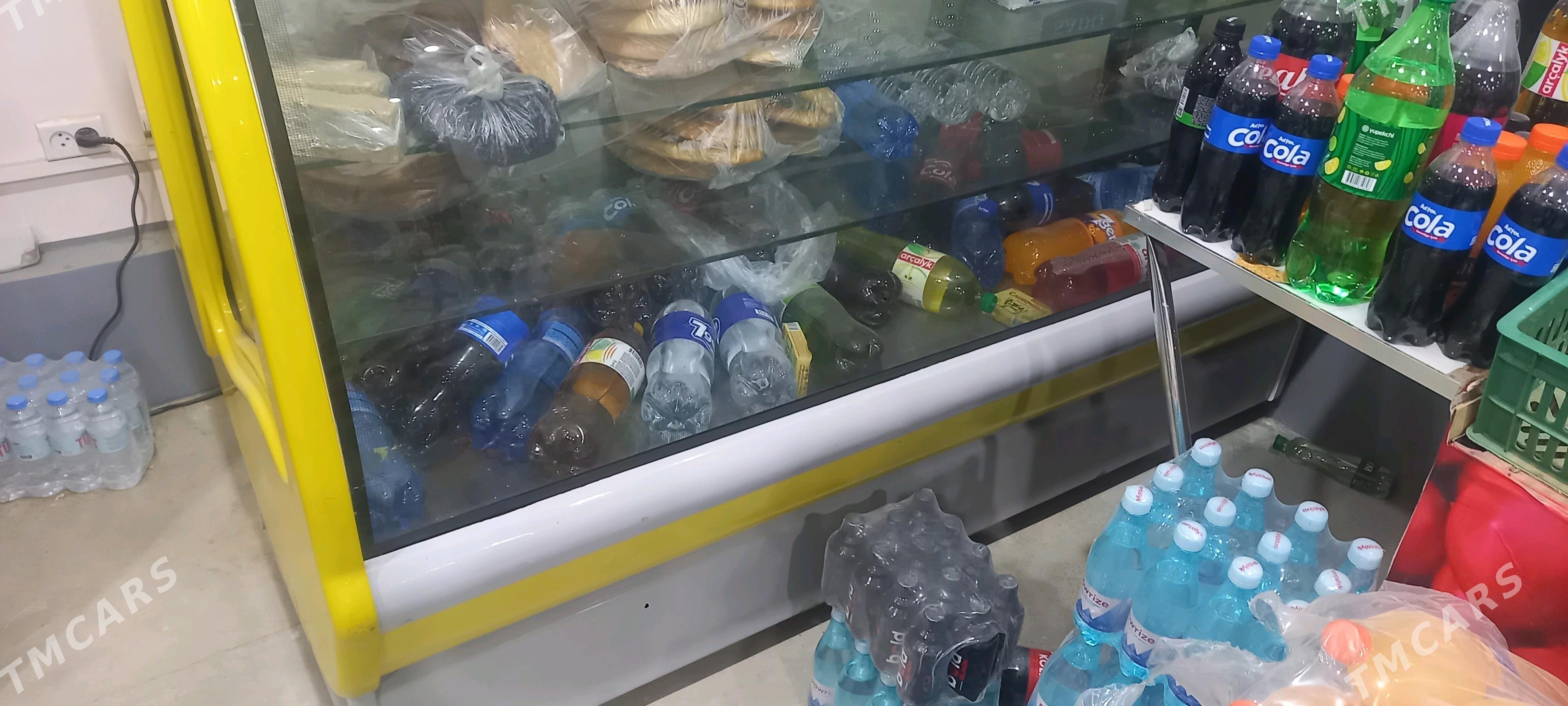 holadilnik - Sakarçäge - img 4