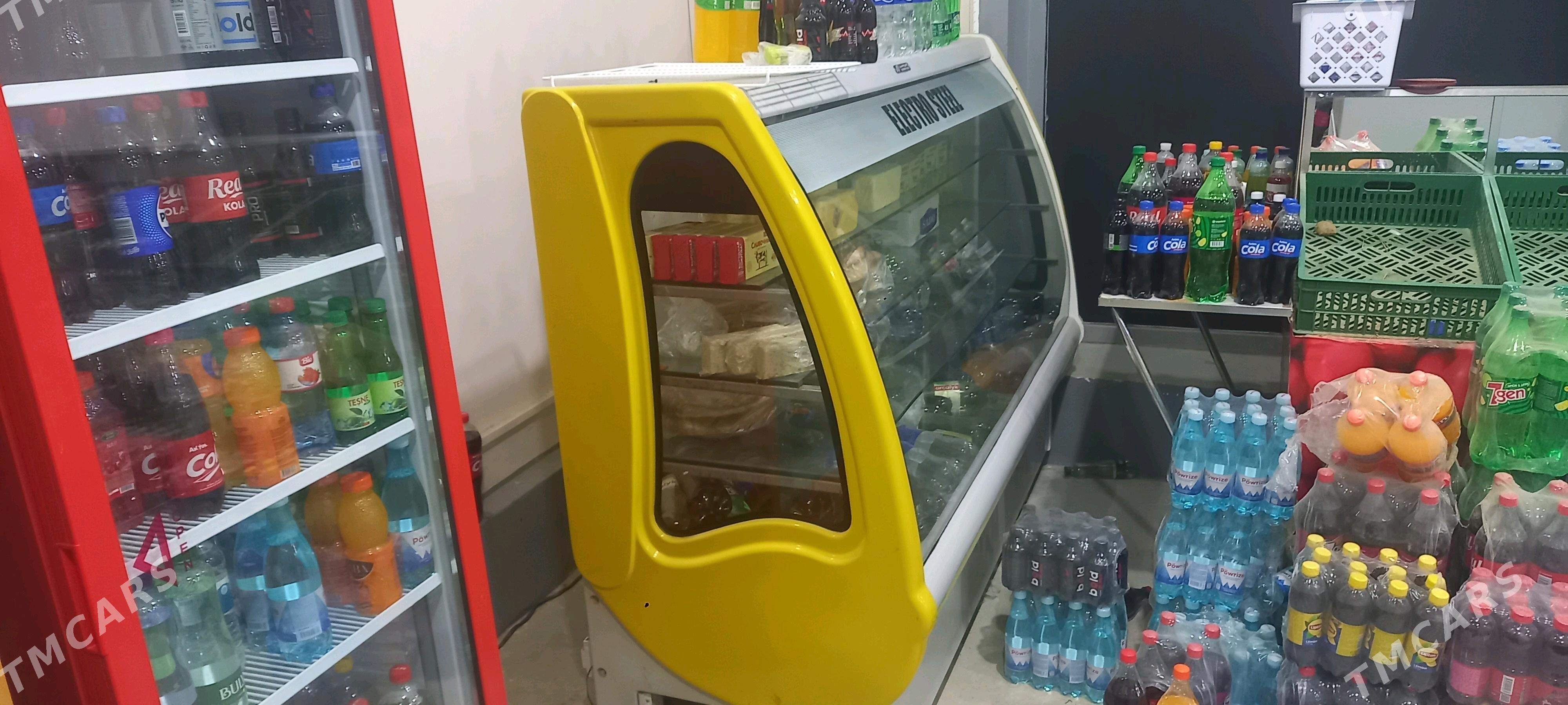 holadilnik - Sakarçäge - img 1