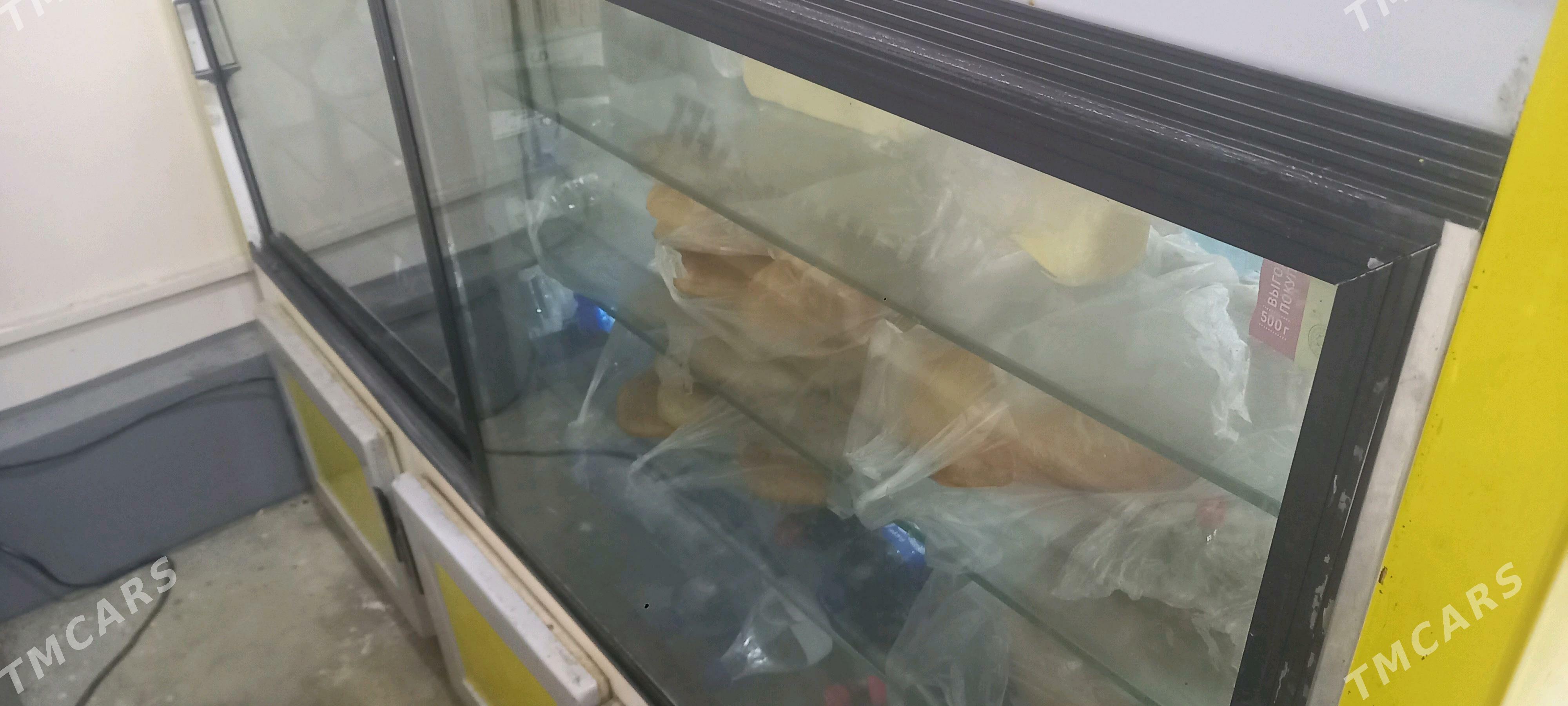 holadilnik - Sakarçäge - img 5