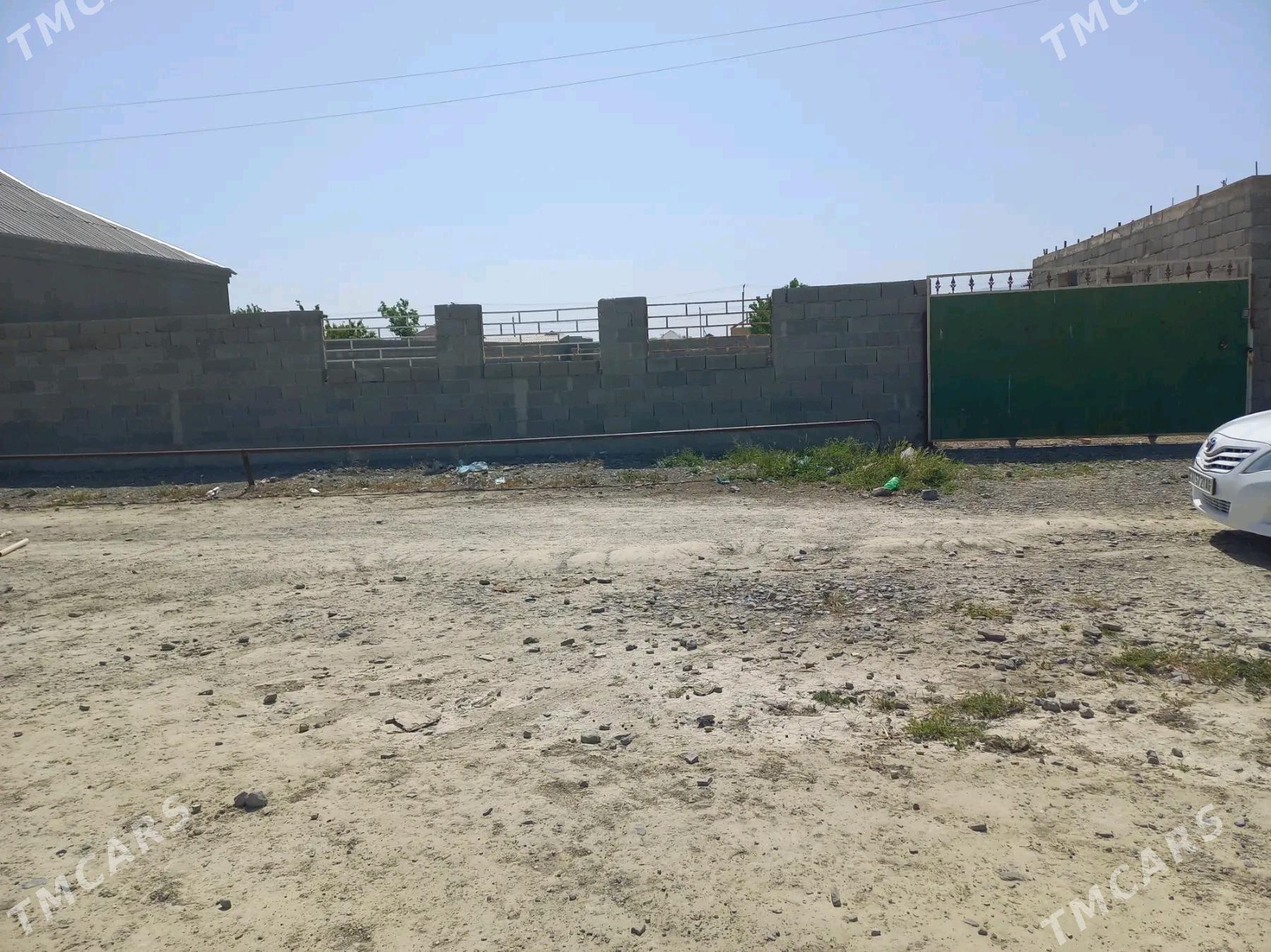 Döwgala - Bäherden - img 1