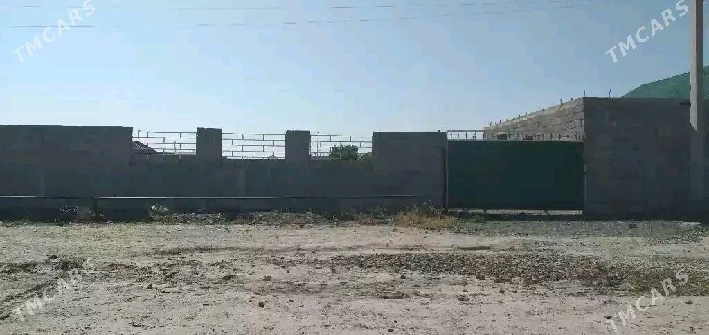 Döwgala - Bäherden - img 7