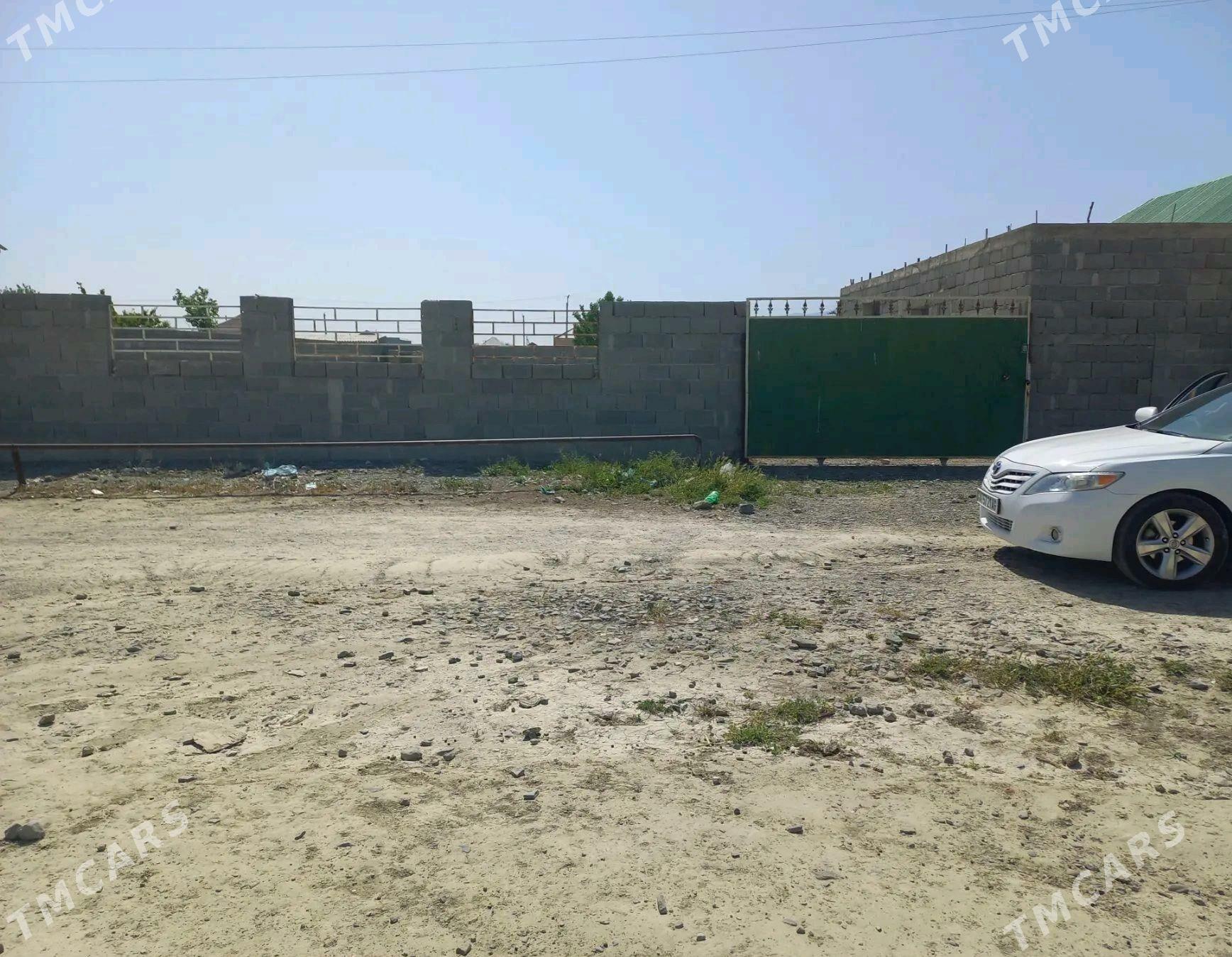 Döwgala - Bäherden - img 4