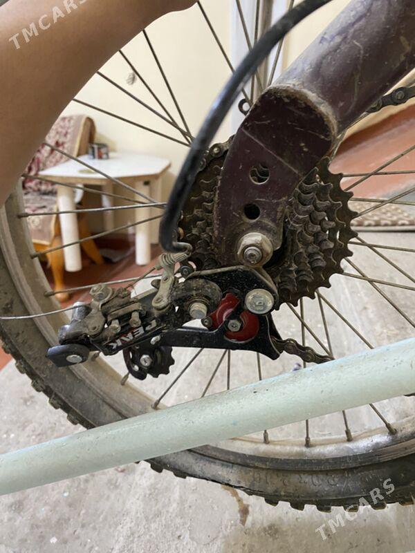 Olimpic - Köşi - img 3