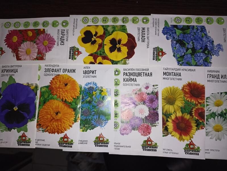 гул gul tohum тохум - Янбаш - img 2