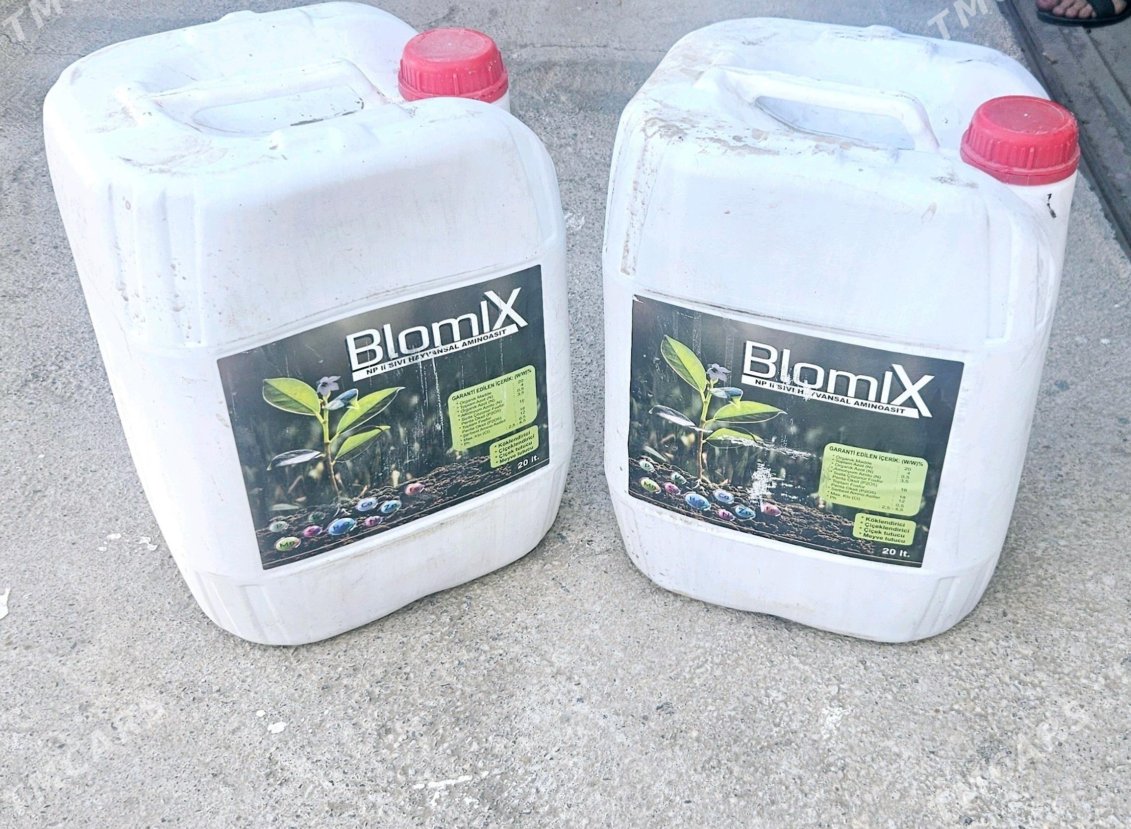 Blomix - Ашхабад - img 3