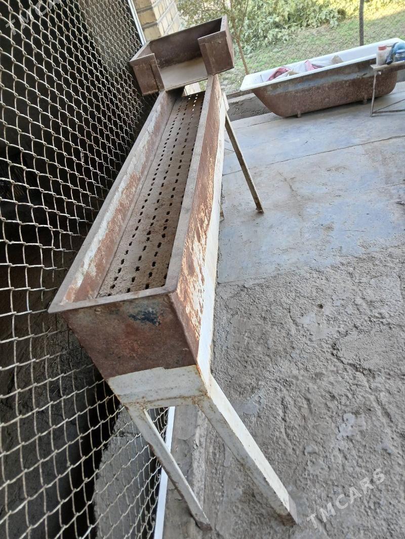 MANGAL beyik - Mary - img 3