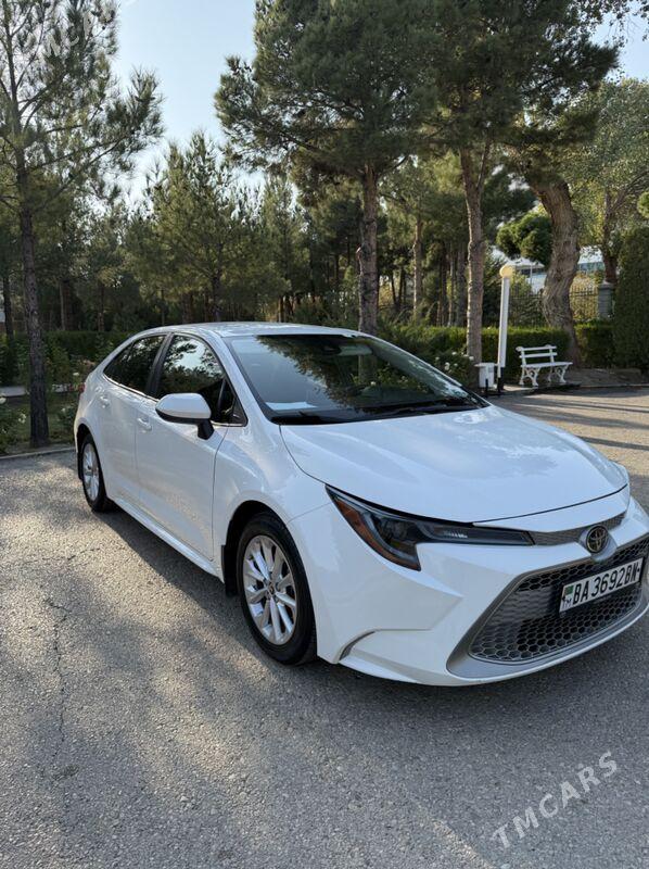 Toyota Corolla 2020 - 260 000 TMT - Balkanabat - img 1
