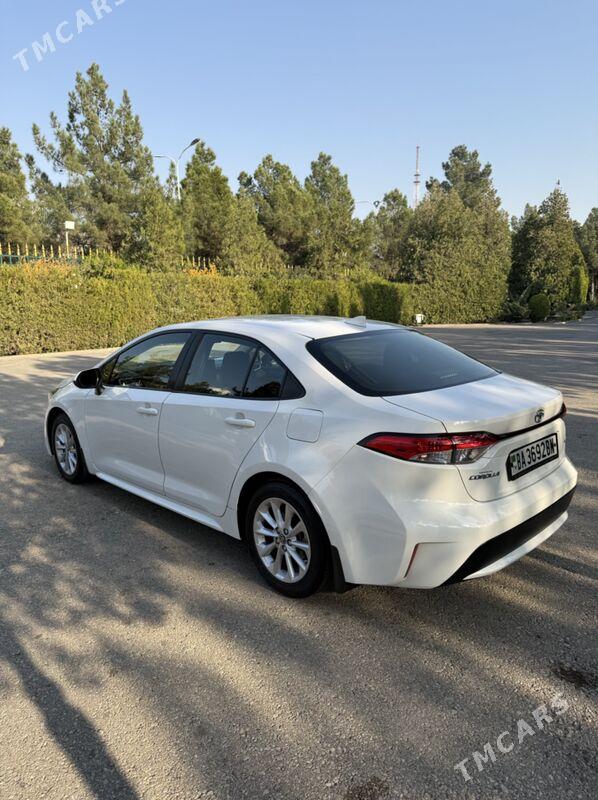 Toyota Corolla 2020 - 260 000 TMT - Balkanabat - img 3