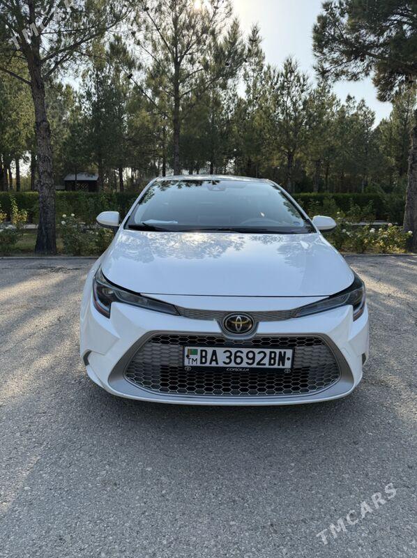 Toyota Corolla 2020 - 260 000 TMT - Balkanabat - img 2