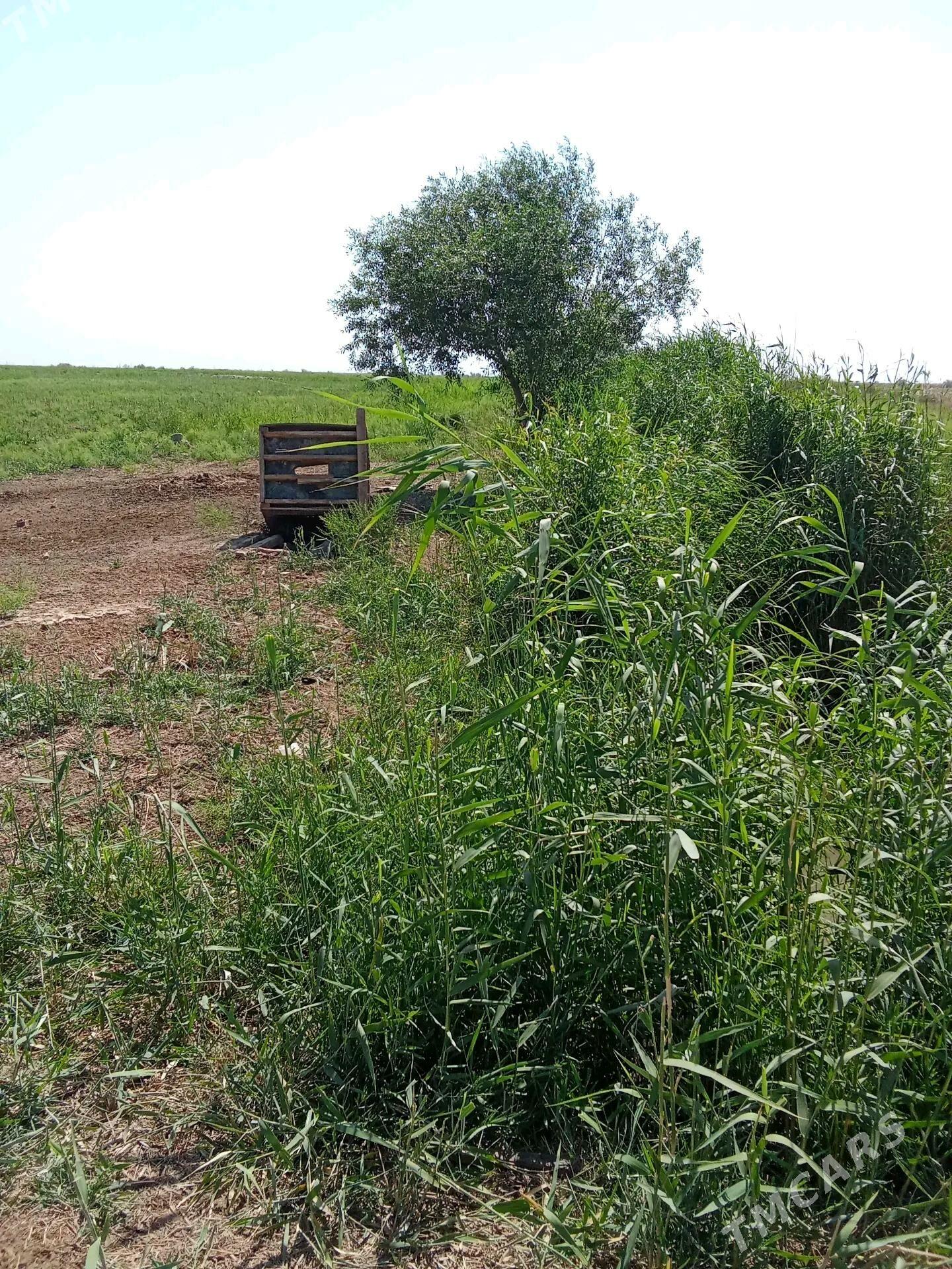 plan jay - Мары - img 5