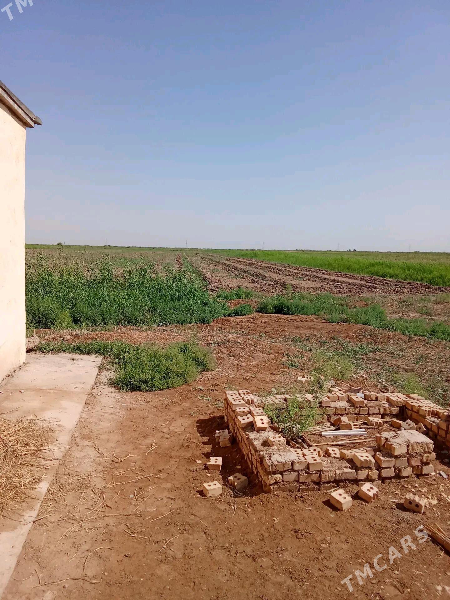 plan jay - Мары - img 1