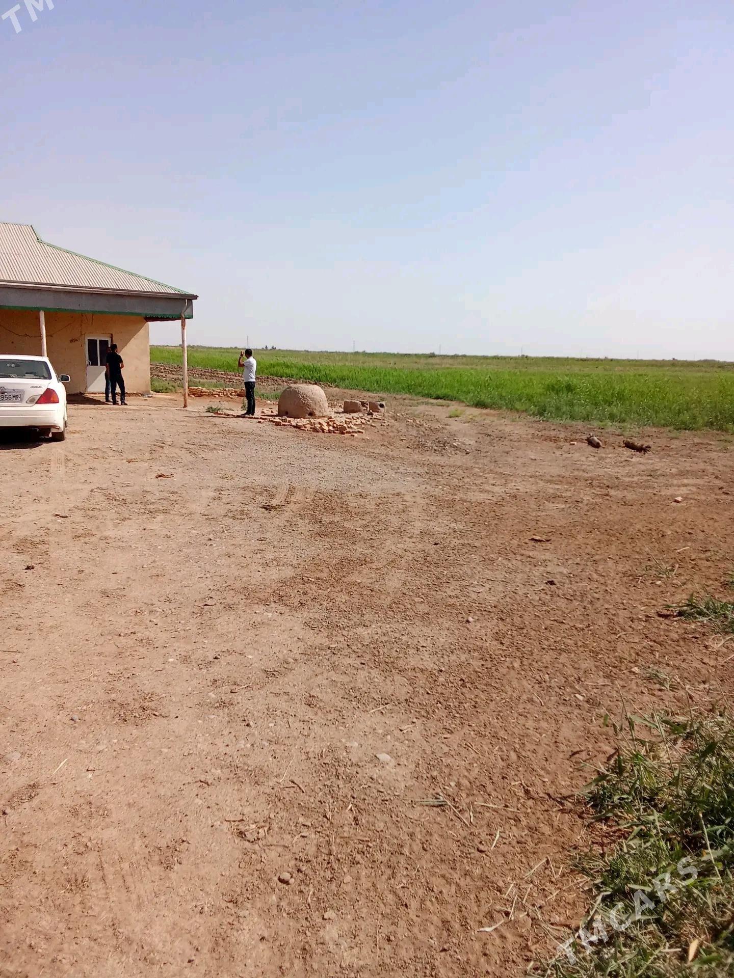 plan jay - Мары - img 3