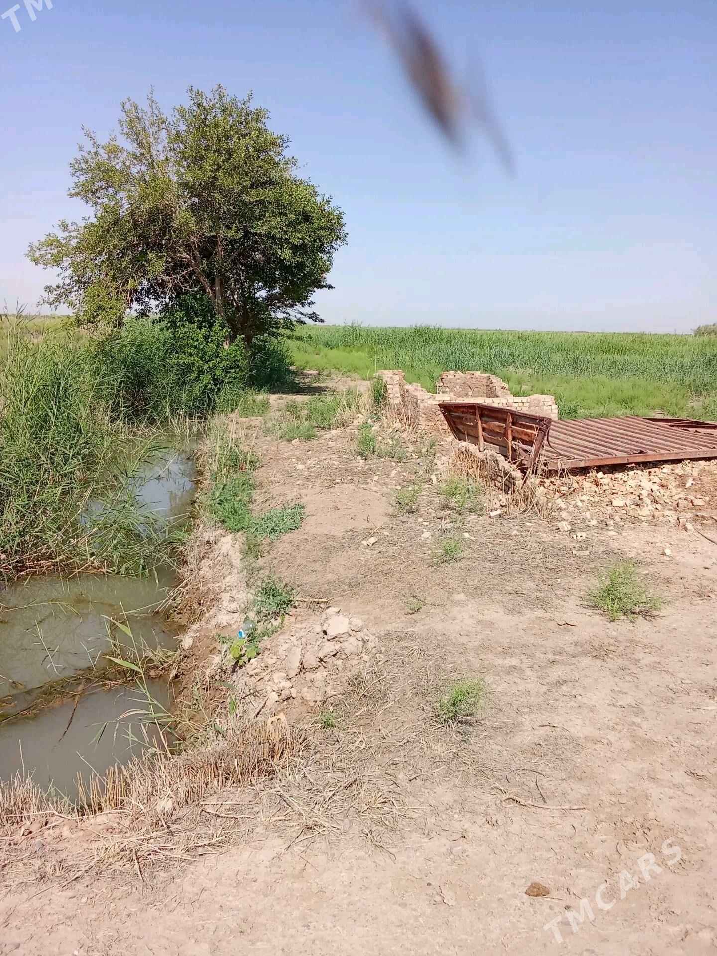 plan jay - Мары - img 2