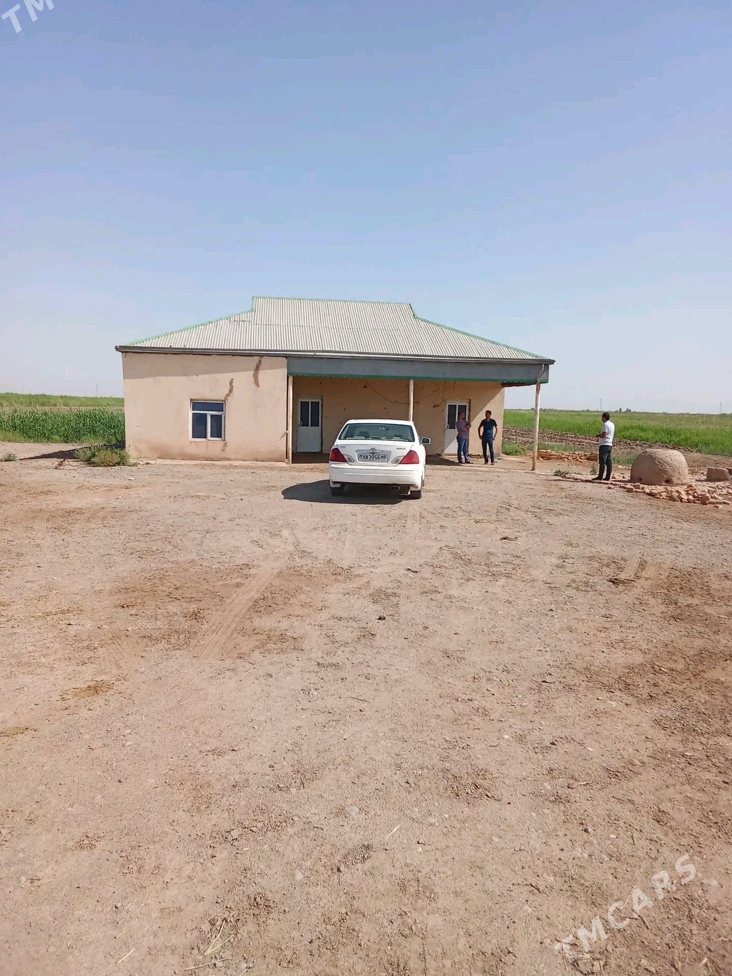 plan jay - Мары - img 4