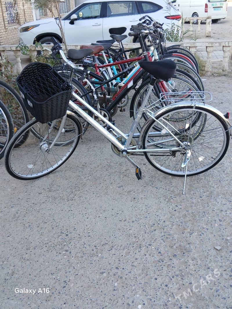 tigir 26 - Tejen - img 2