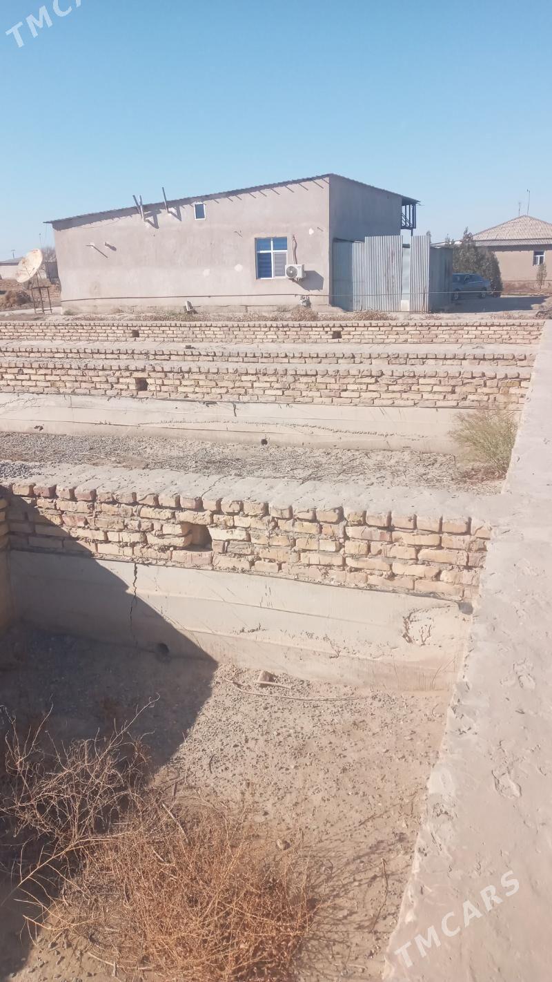 ucaska jay - Гороглы (Тагта) - img 8