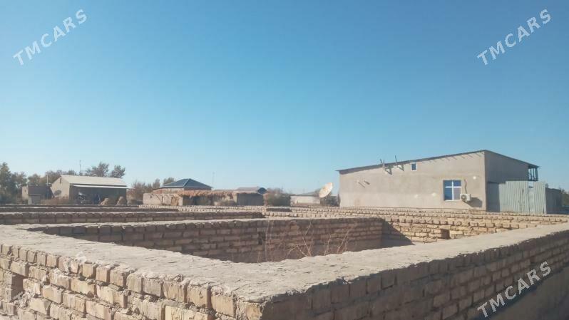 ucaska jay - Гороглы (Тагта) - img 2