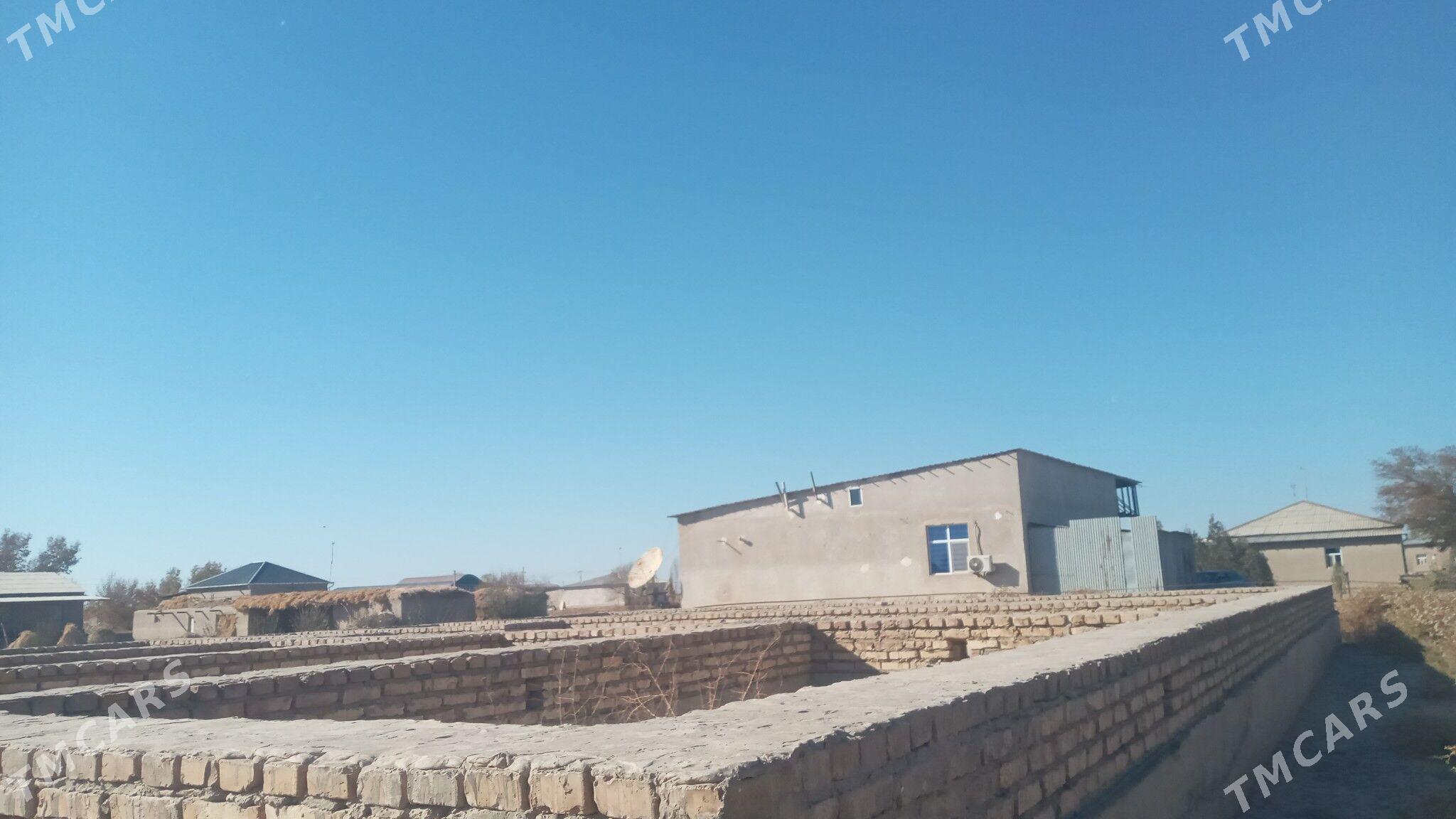 ucaska jay - Гороглы (Тагта) - img 1