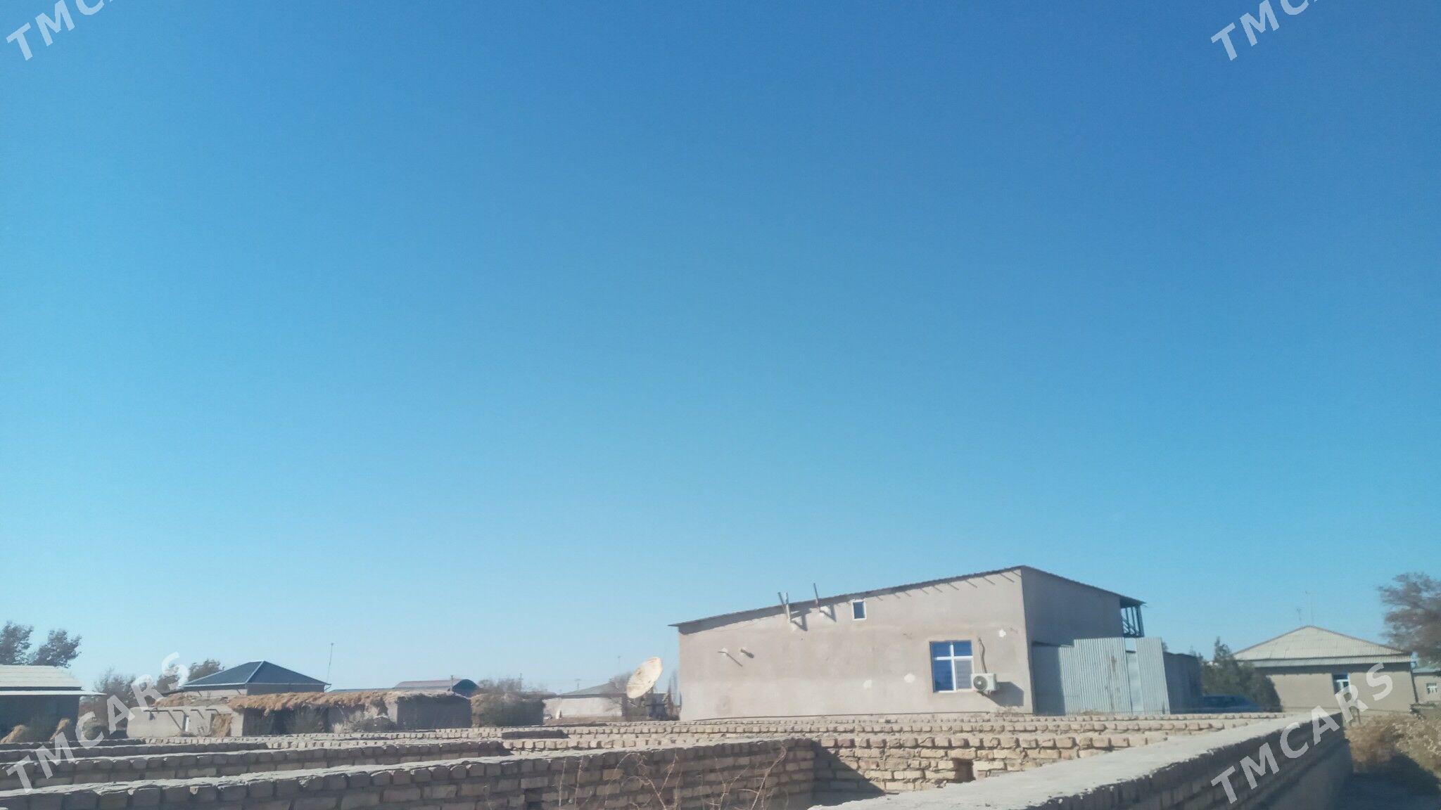 ucaska jay - Гороглы (Тагта) - img 5