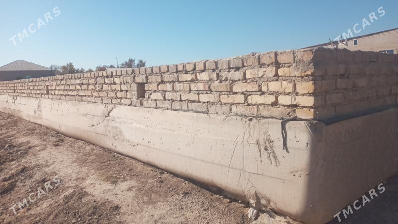 ucaska jay - Гороглы (Тагта) - img 4