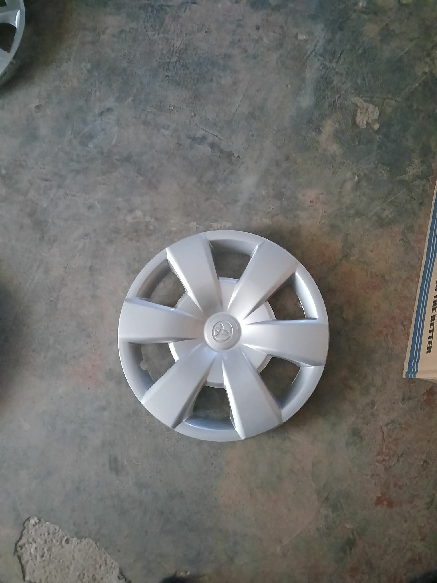 kalpak 20 TMT - Mary - img 4