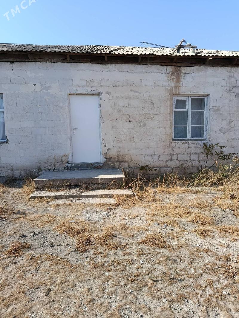 Jaý - Гызыларбат - img 1