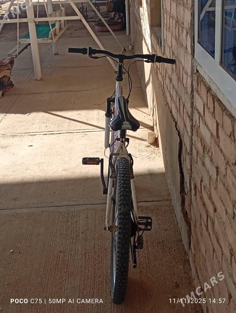 transval 26 - Каракумский этрап - img 3