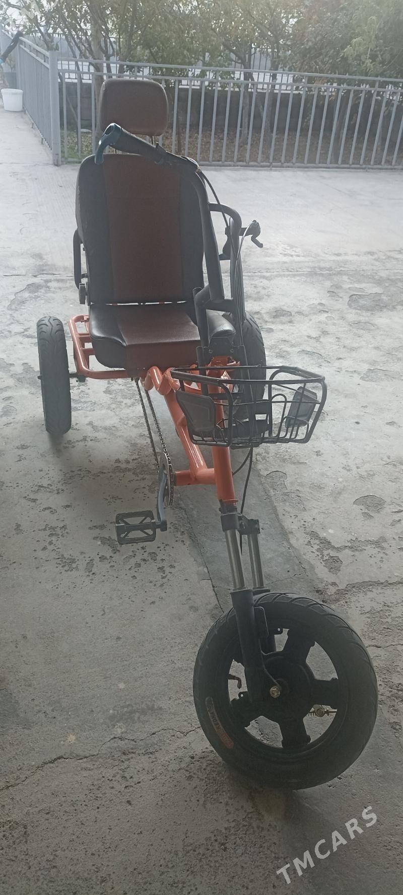 Tigir - Garadamak - img 2