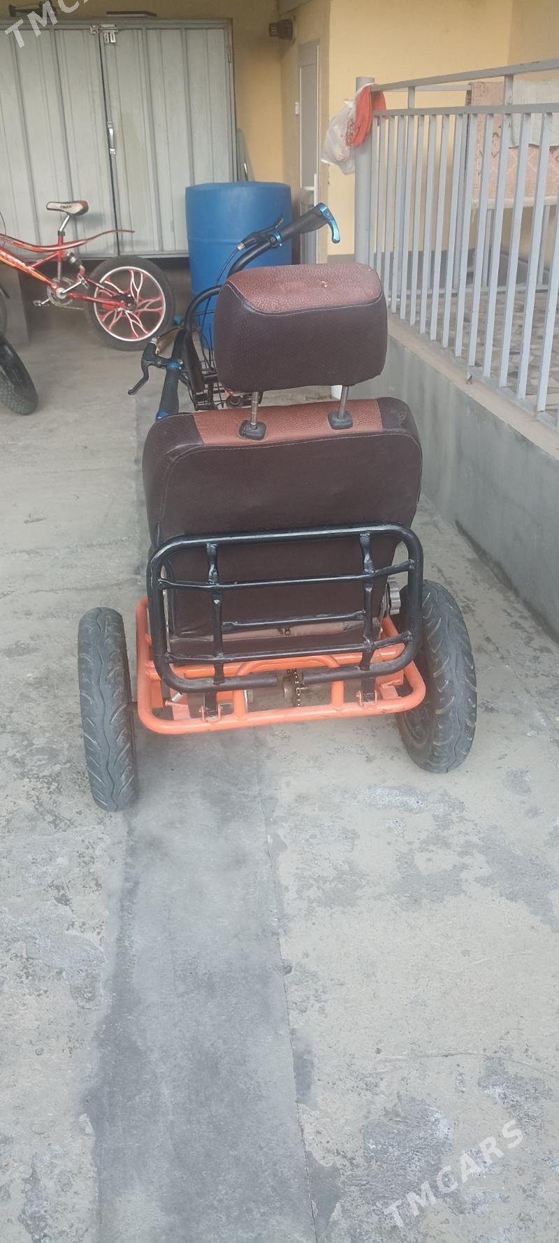 Tigir - Garadamak - img 3