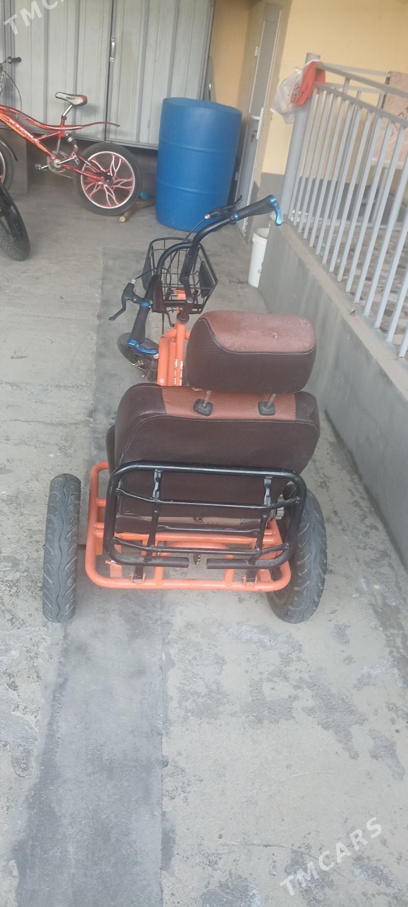 Tigir - Garadamak - img 4