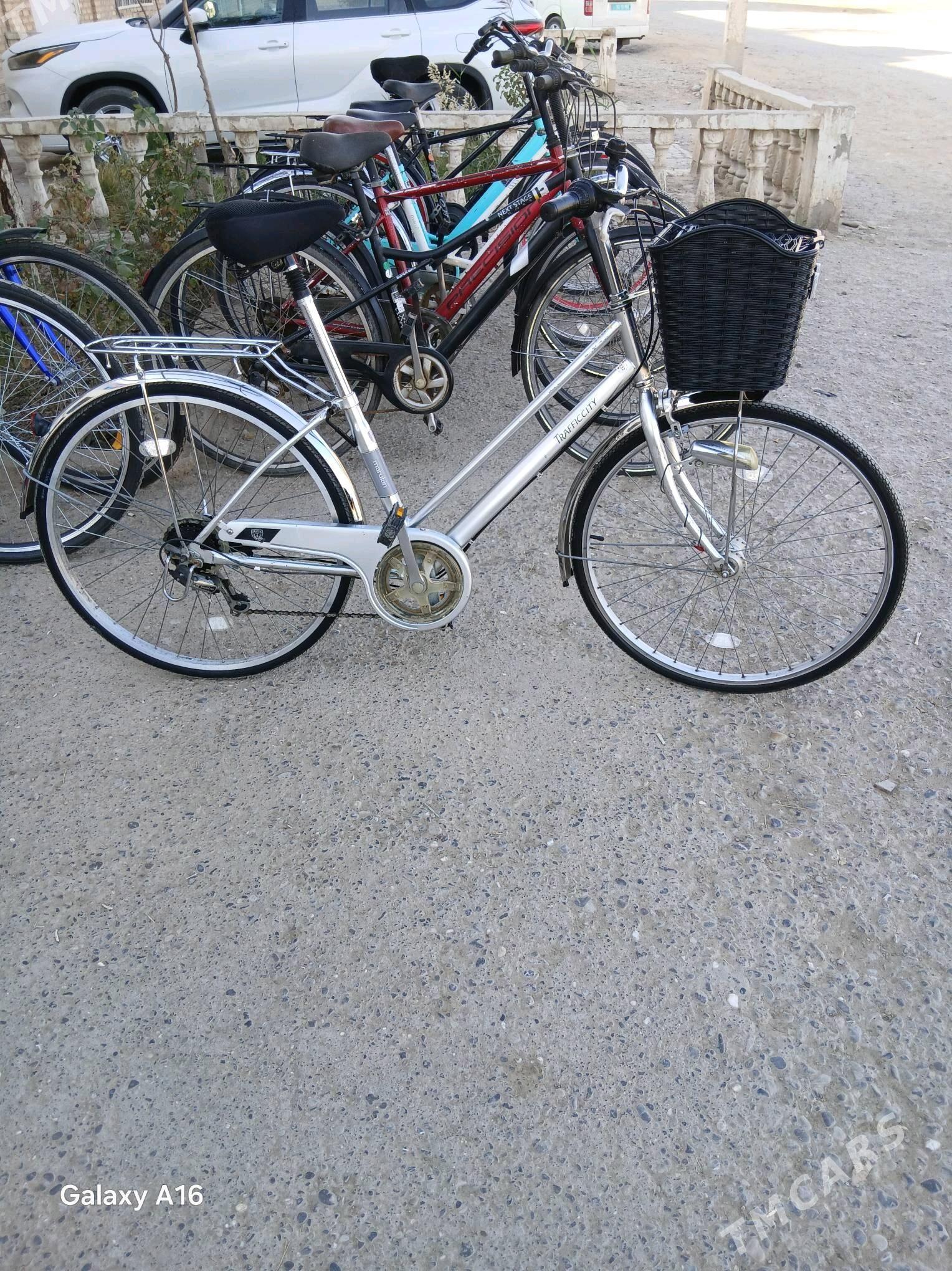 tigir 26 - Tejen - img 1