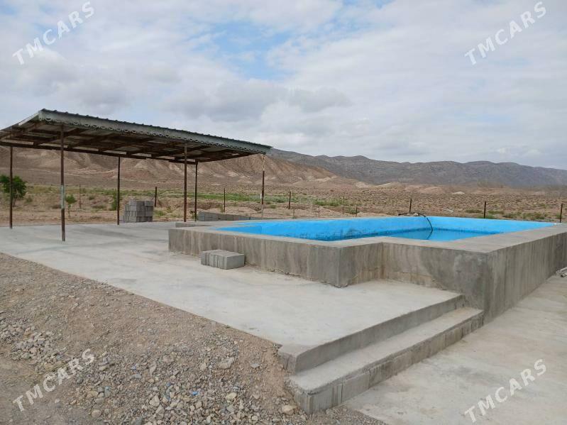 YER - Gyzylarbat - img 6