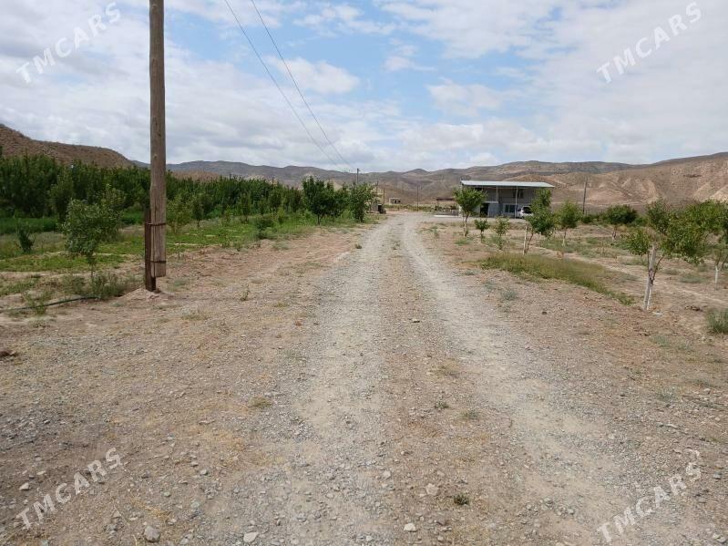 YER - Gyzylarbat - img 3