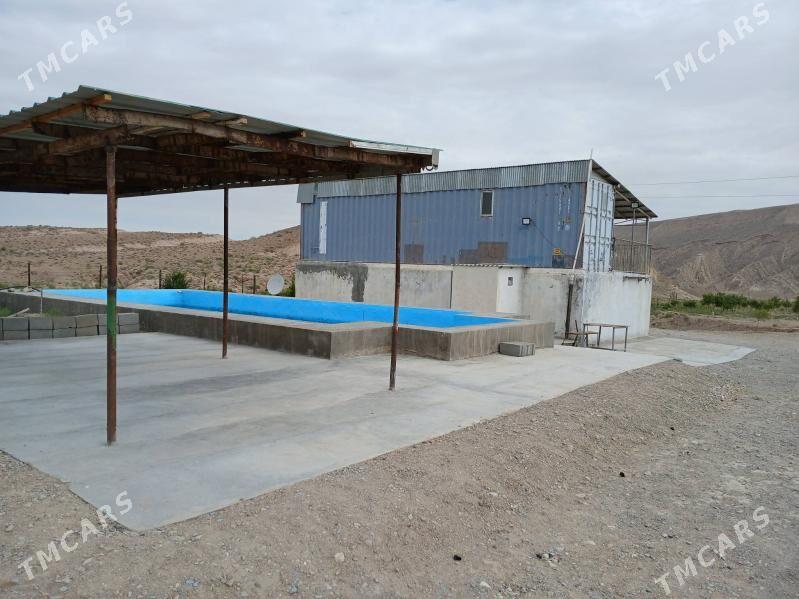 YER - Gyzylarbat - img 5