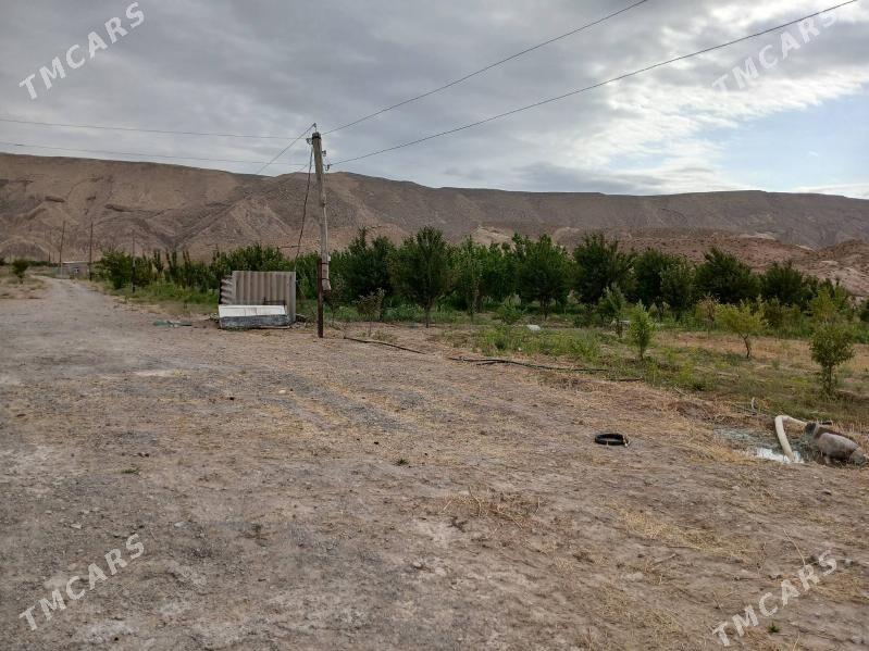 YER - Gyzylarbat - img 7