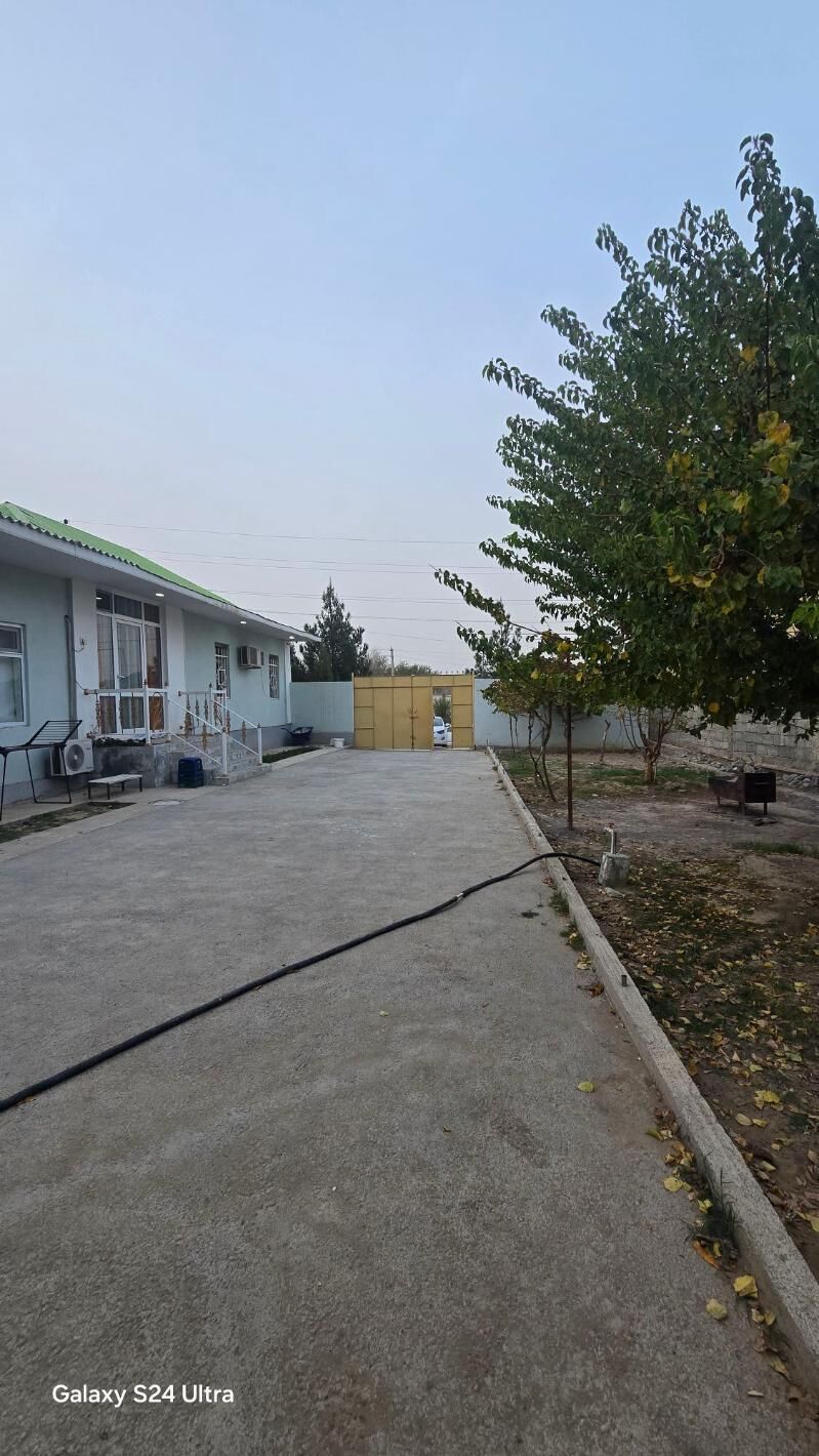 SATLYK JAY COGONLY 12 SOTOK - Чоганлы - img 1