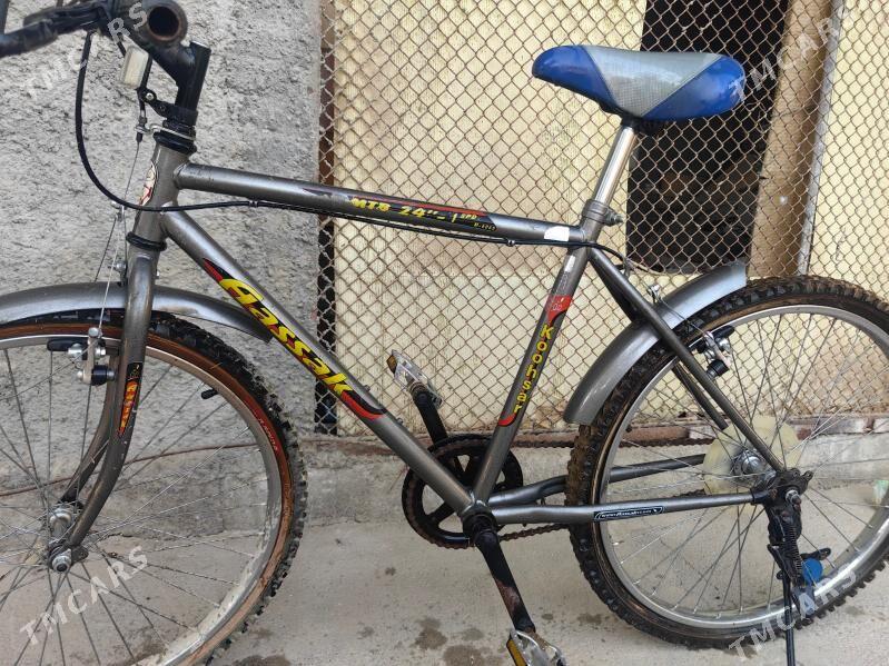 Tigir Eyranynky - Ашхабад - img 6