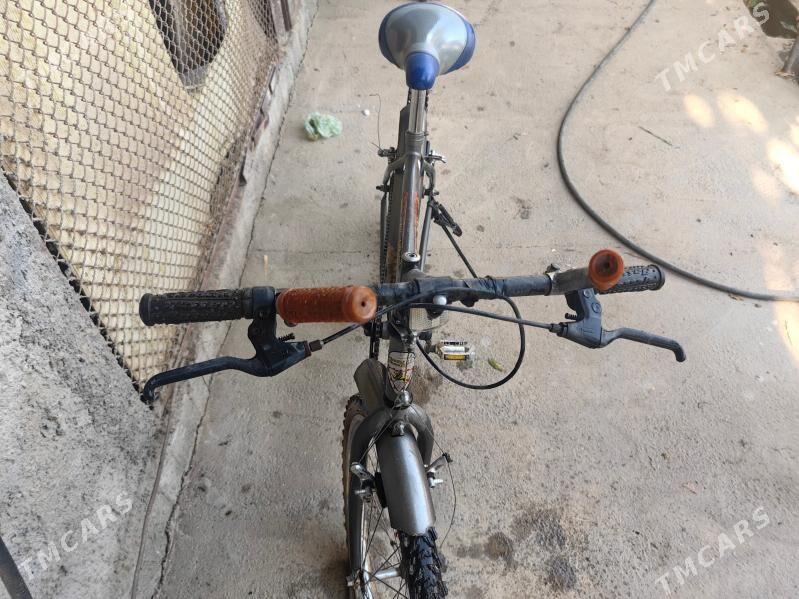 Tigir Eyranynky - Ашхабад - img 5