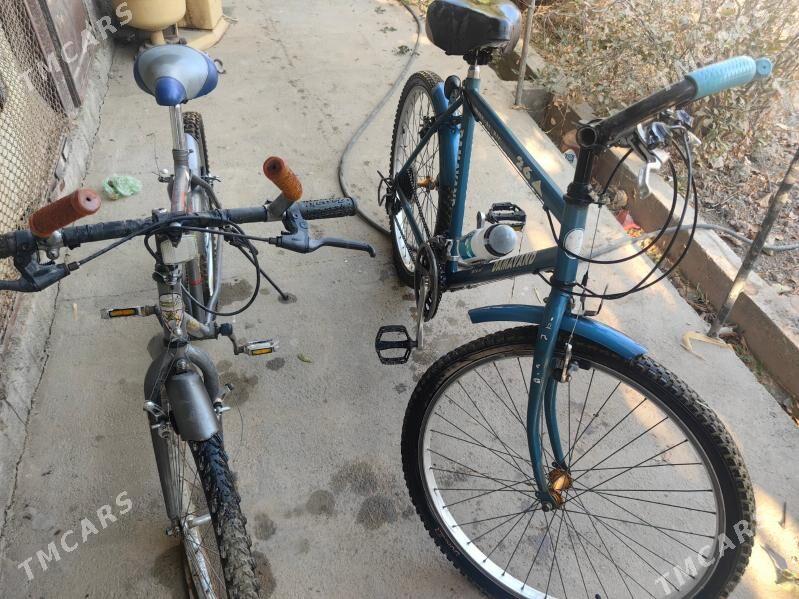 Tigir Eyranynky - Ашхабад - img 1