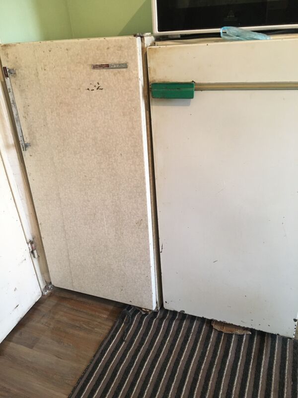 Haladelnik - Daşoguz - img 2