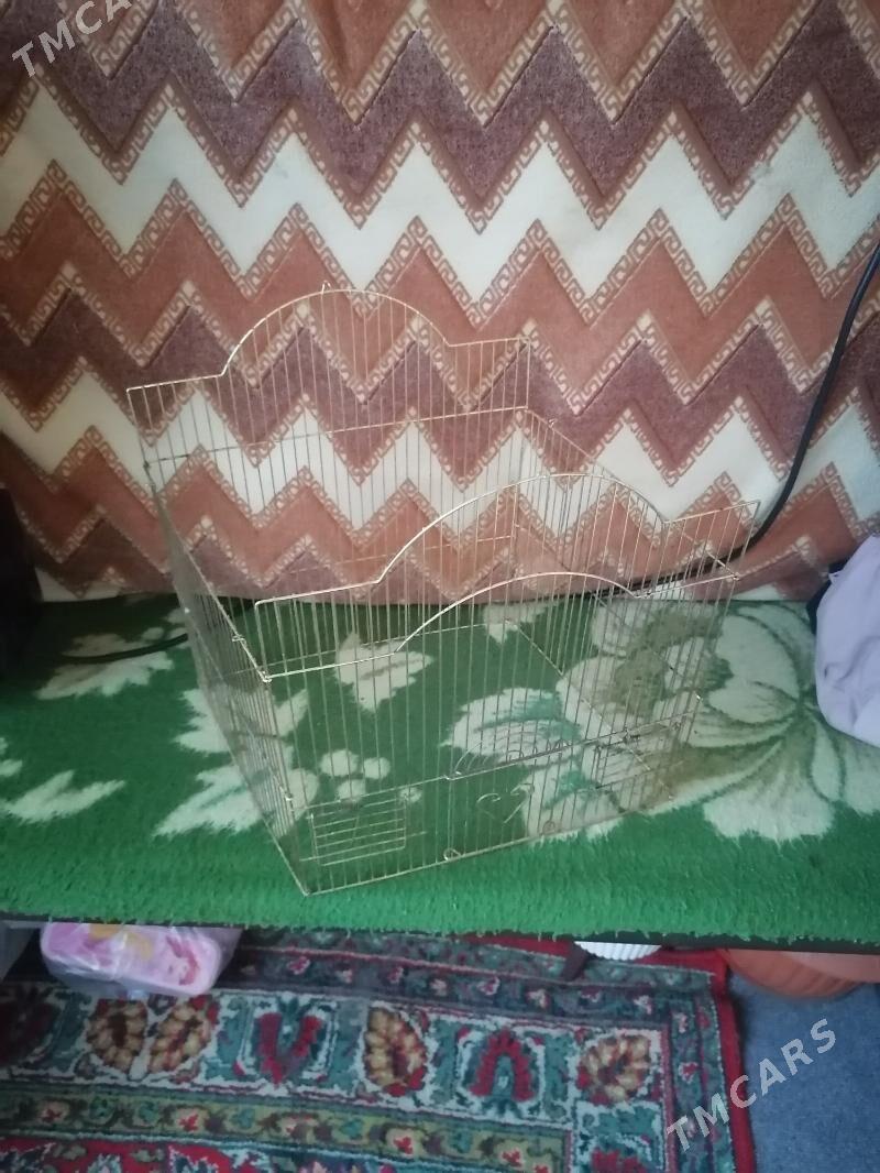 от клетки - Ашхабад - img 2