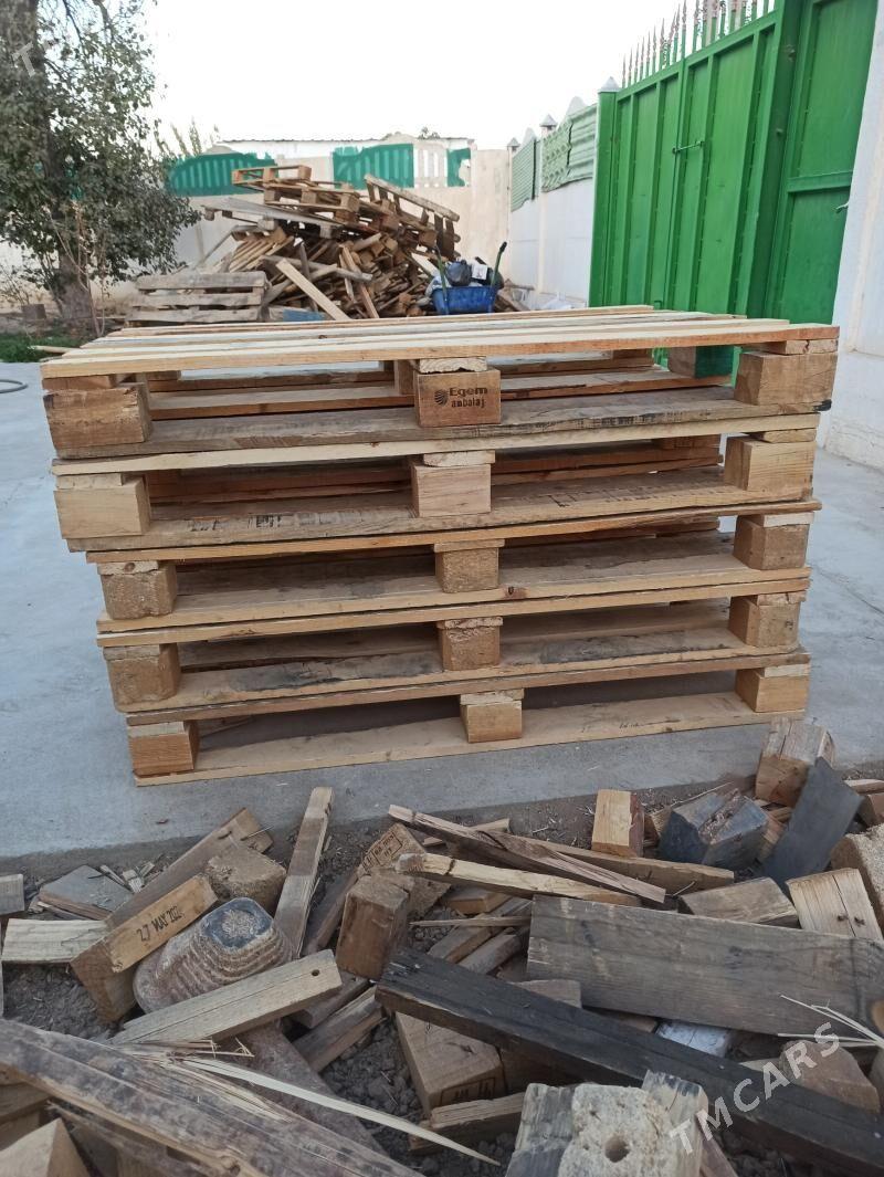 Padon - Büzmeýin - img 2